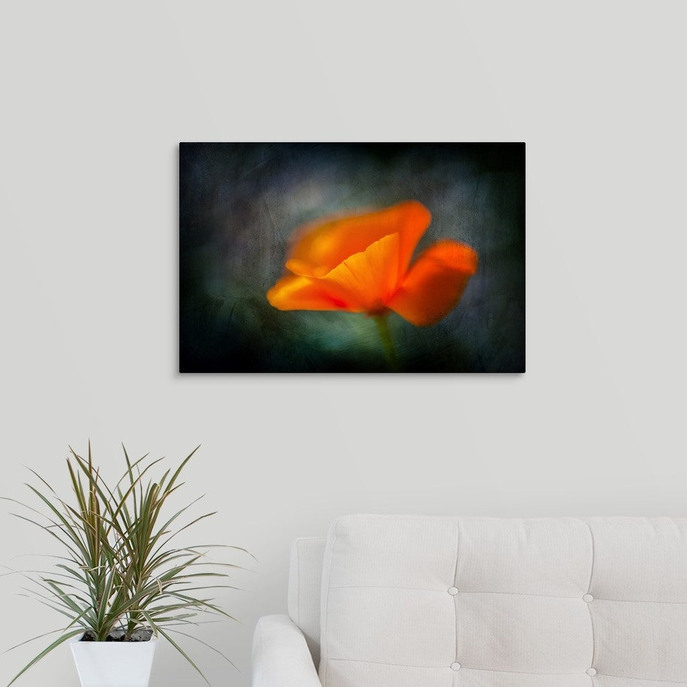 "California Poppy 2" Wrapped Canvas Art Print, 24"x16"x1.5"