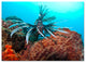 Ready2hangart Christopher Doherty Photography 'Underwater' Canvas Wall Art