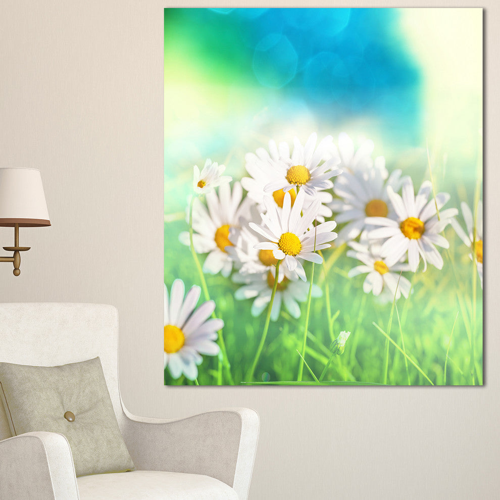 Little White Chamomiles in Garden, Floral Canvas Art Print, 30"x40"