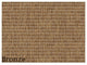 Couristan Antigua Indoor/Outdoor Accent Rugs - Stylish Comfort for Every Setting, Bronze, Round 8'