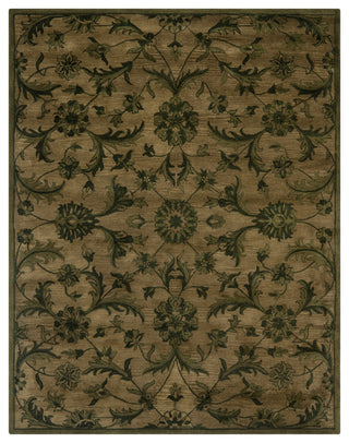 Safavieh Antiquity Collection AT824 Rug, Olive/Green, 9'x12'