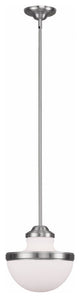 Livex 5725-91 1-Light Brushed Nickel Pendant, Brushed Nickel