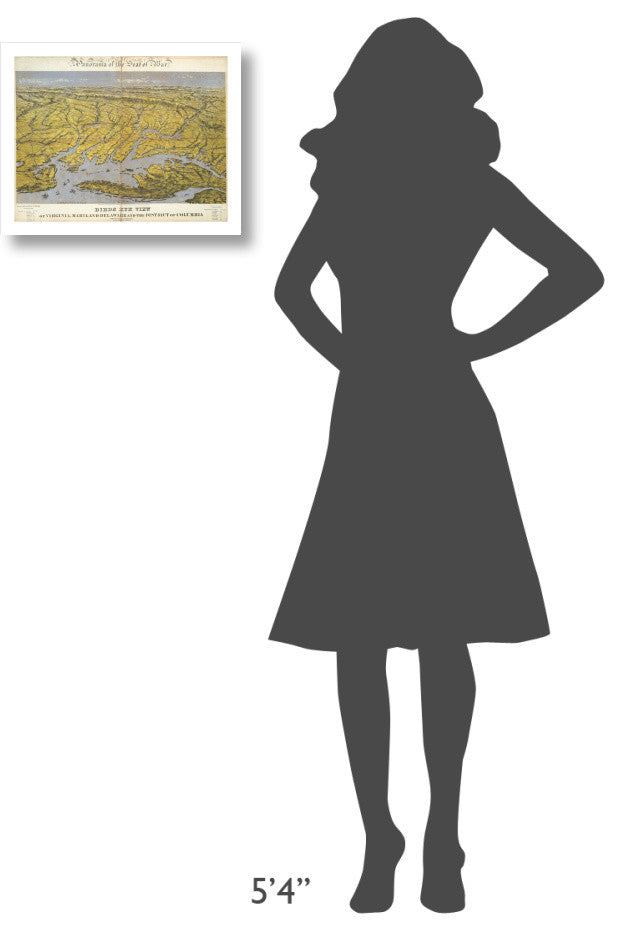 "Virginia, Maryland Delaware and District of Columbia, 1861" Paper Art, 18"x14"