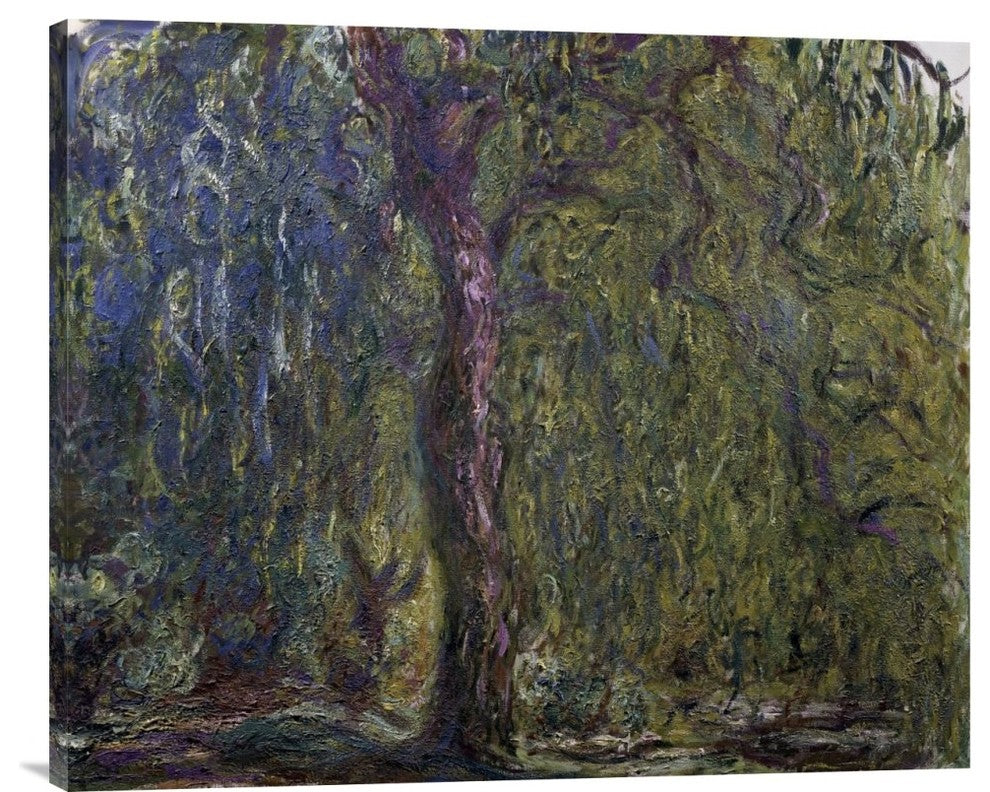 "Weeping Willow (Saule pleureur)" Artwork, 36" x 30"