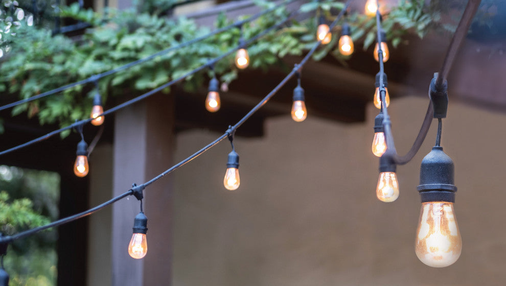 24' Indoor/Outdoor 12-Bulb Standard LED String Light
