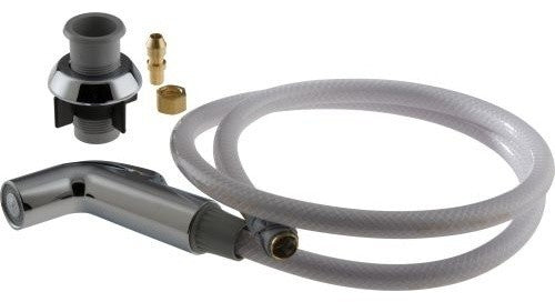 Delta Spray and Hose Assembly, Polished Chrome