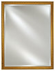 Afina Basix 16"x22" Single Door Medicine Cabinets, Antique Gold