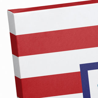 Pirates Have More Fun 20x20 Canvas Wall Art