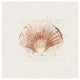 "Shell Collector IV" Digital Paper Print by Katie Pertiet, 20"x20"
