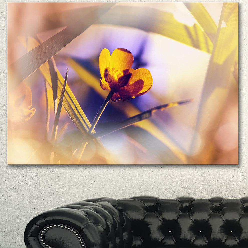 Yellow Flower on Blue Background, Floral Canvas Art Print, 40"x30"
