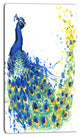 Exotic Peacock Watercolor, Contemporary Animal Art Canvas, 16"x32"