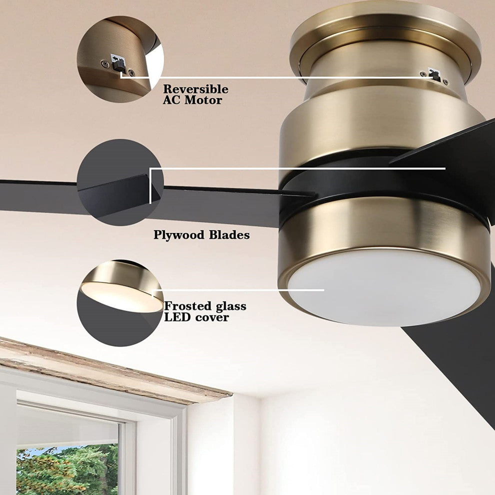 Carro 52'' Indoor Ceiling Fan with Light Wall Control and Remote by Wifi App, Golden