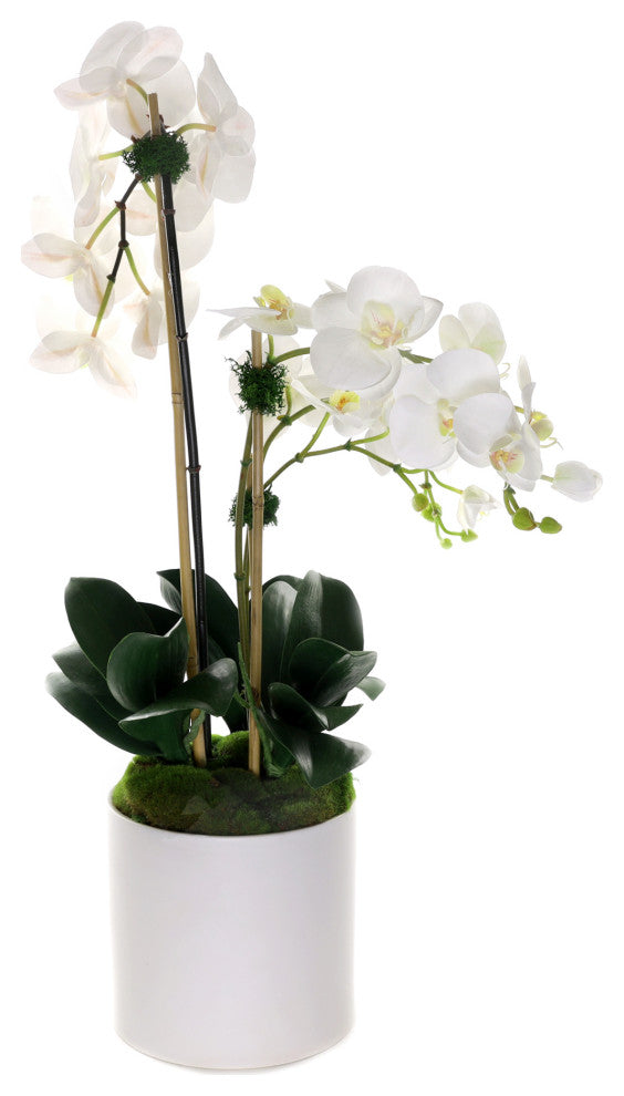 Real Touch Phalaenopsis Orchids, White Cylinder Pot