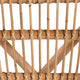 Alleta Modern Bohemian Natural Brown Rattan 2-Piece Dining Chair Set