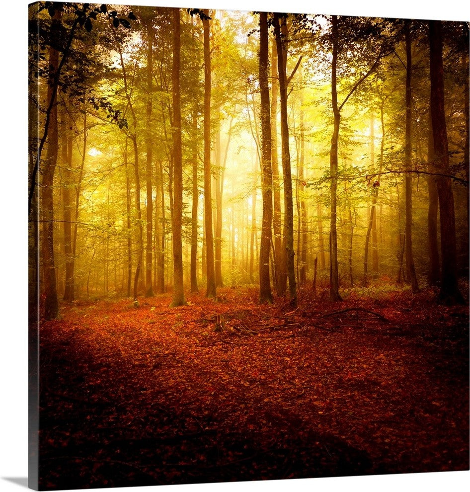 "The Smell of Autumn" Wrapped Canvas Art Print, 35"x35"x1.5"