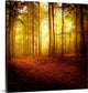 "The Smell of Autumn" Wrapped Canvas Art Print, 35"x35"x1.5"