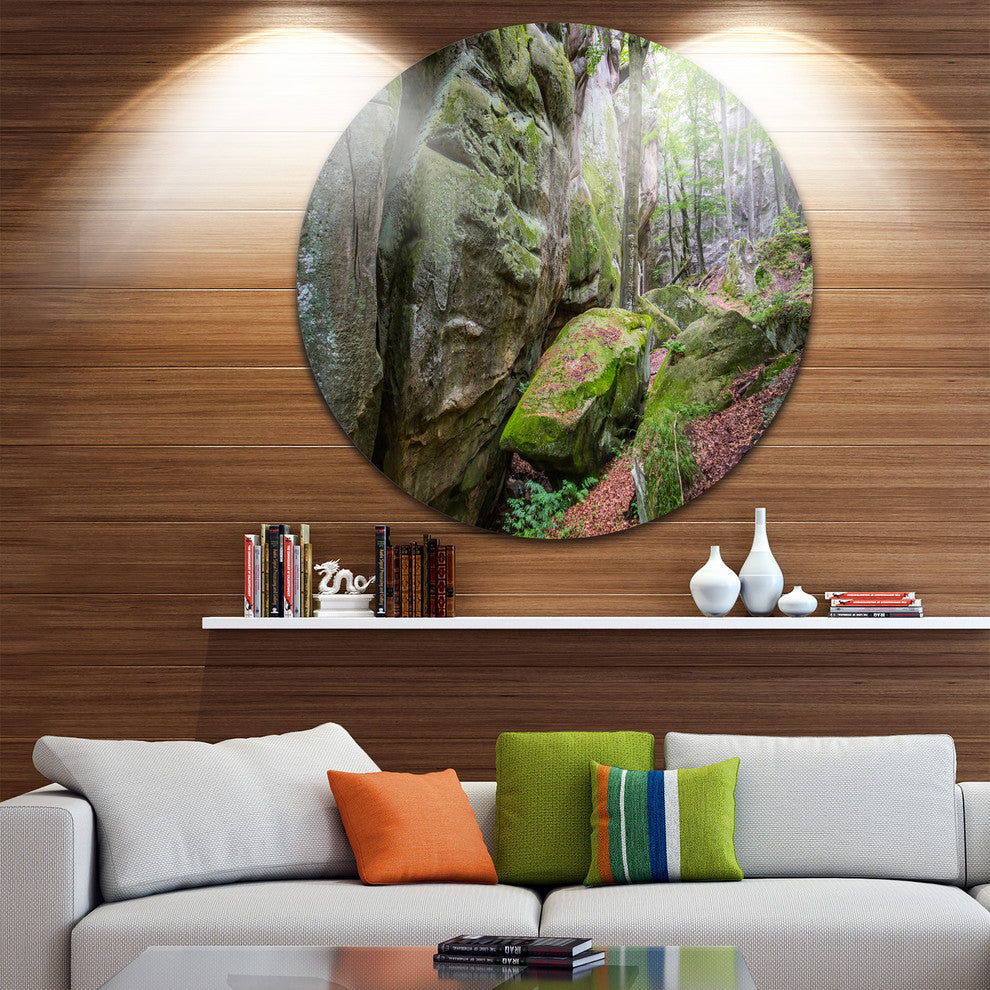 Wild Deep Moss Forest Ukraine, Landscape Large Disc Metal Wall Art, 23"