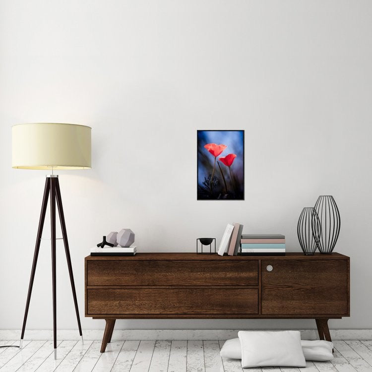 "Desire" Framed Canvas Giclee by Fabien Bravin, 16x23"