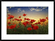 "Poppies" Framed Digital Print by Tais, 32x24"