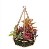 9" Artificial Succulents Arrangement in 6-Sided Copper Metal Wire Frame