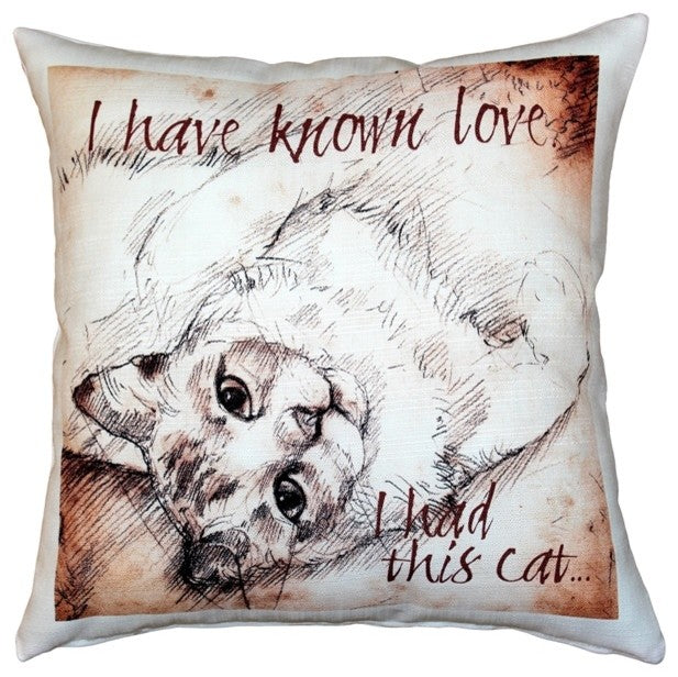 I Have Known Love Cat Pillow, 17x17