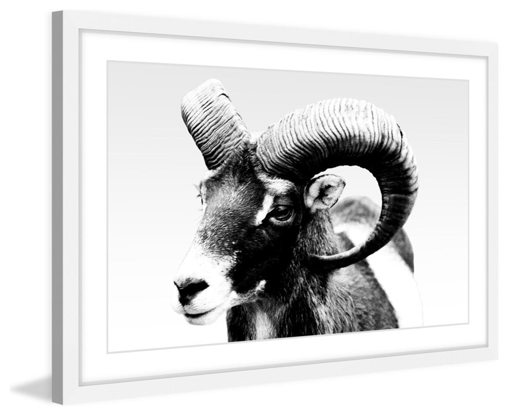 Marmont Hill, "Ram Forward" Framed Painting Print, 30x20