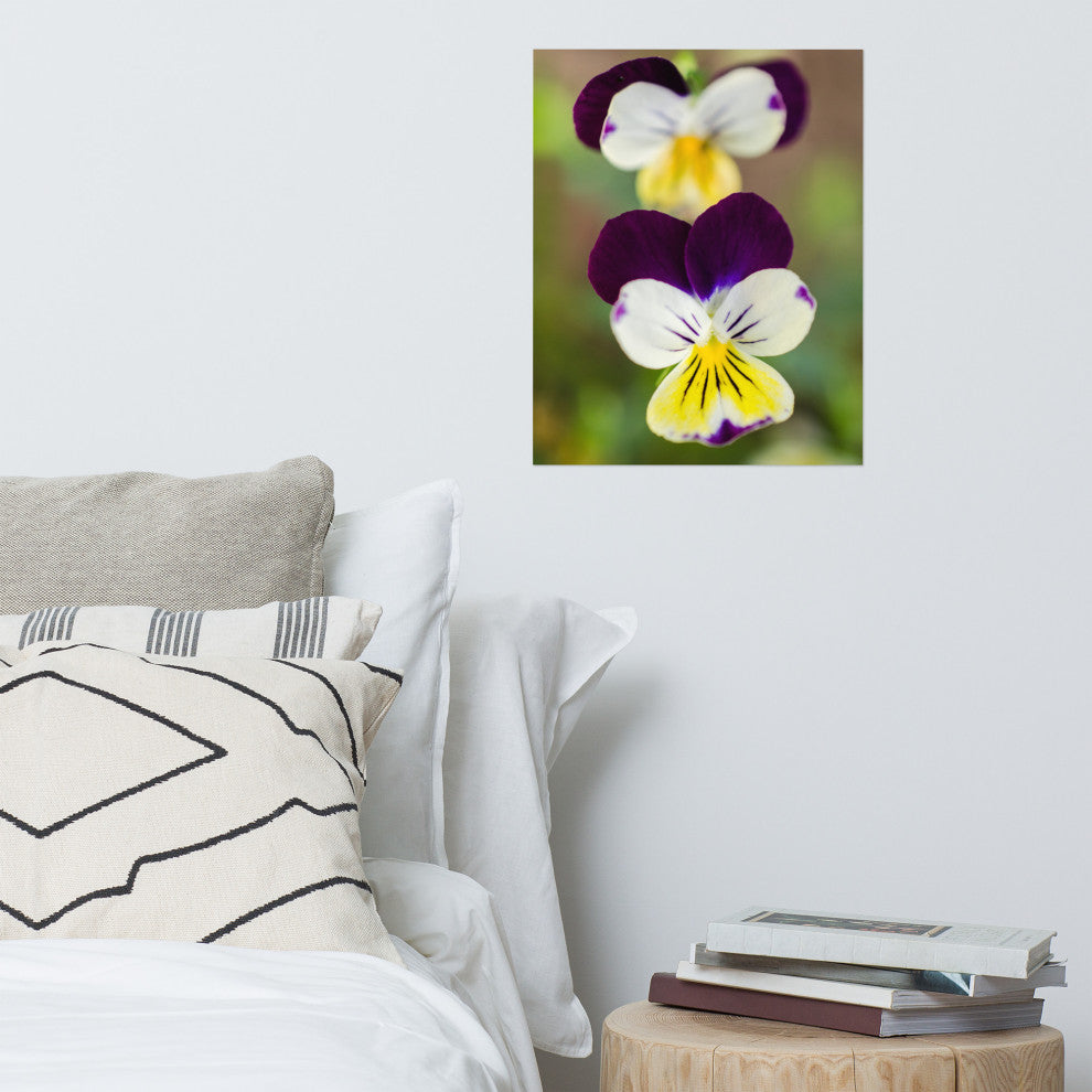 Pretty Little Violets Floral / Botanical Photograph Unframed Wall Art Prints, 16" X 20"