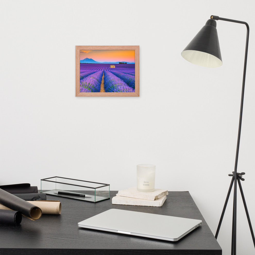 Blooming Lavender Field and Sunset Floral Landscape Framed Photo Wall Art Prints, Red Oak, 8" X 10"