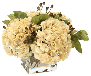 WaterlookÂ® Beige Hydrangeas, Brown Hypercum Berries in Square Glass Vase