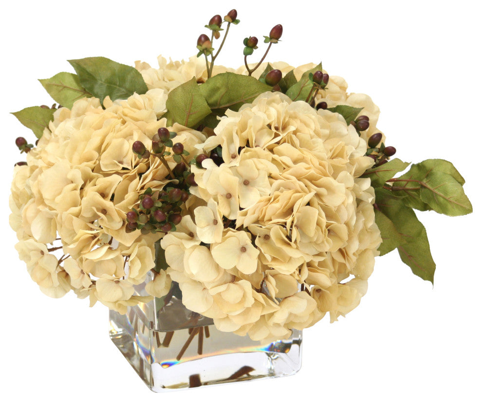 WaterlookÂ® Beige Hydrangeas, Brown Hypercum Berries in Square Glass Vase