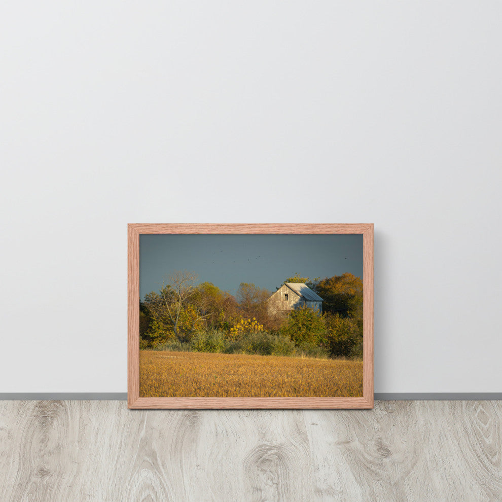 Abandoned Barn In The Trees Framed Photo Paper Wall Art Prints, Red Oak, 12" X 16"