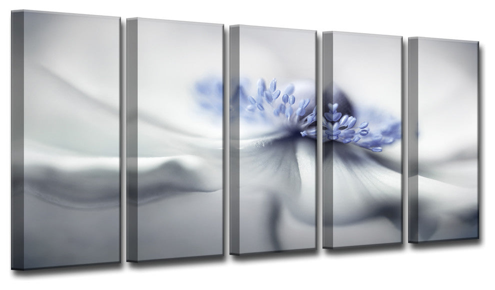 Ready2HangArt 'Anemone Spirit' 5-Piece Canvas Wall Decor Set