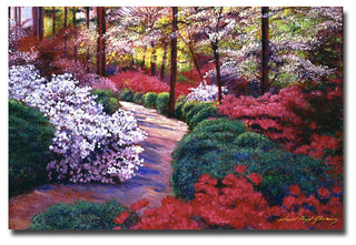 'April Beauties' Canvas Art by David Lloyd Glover