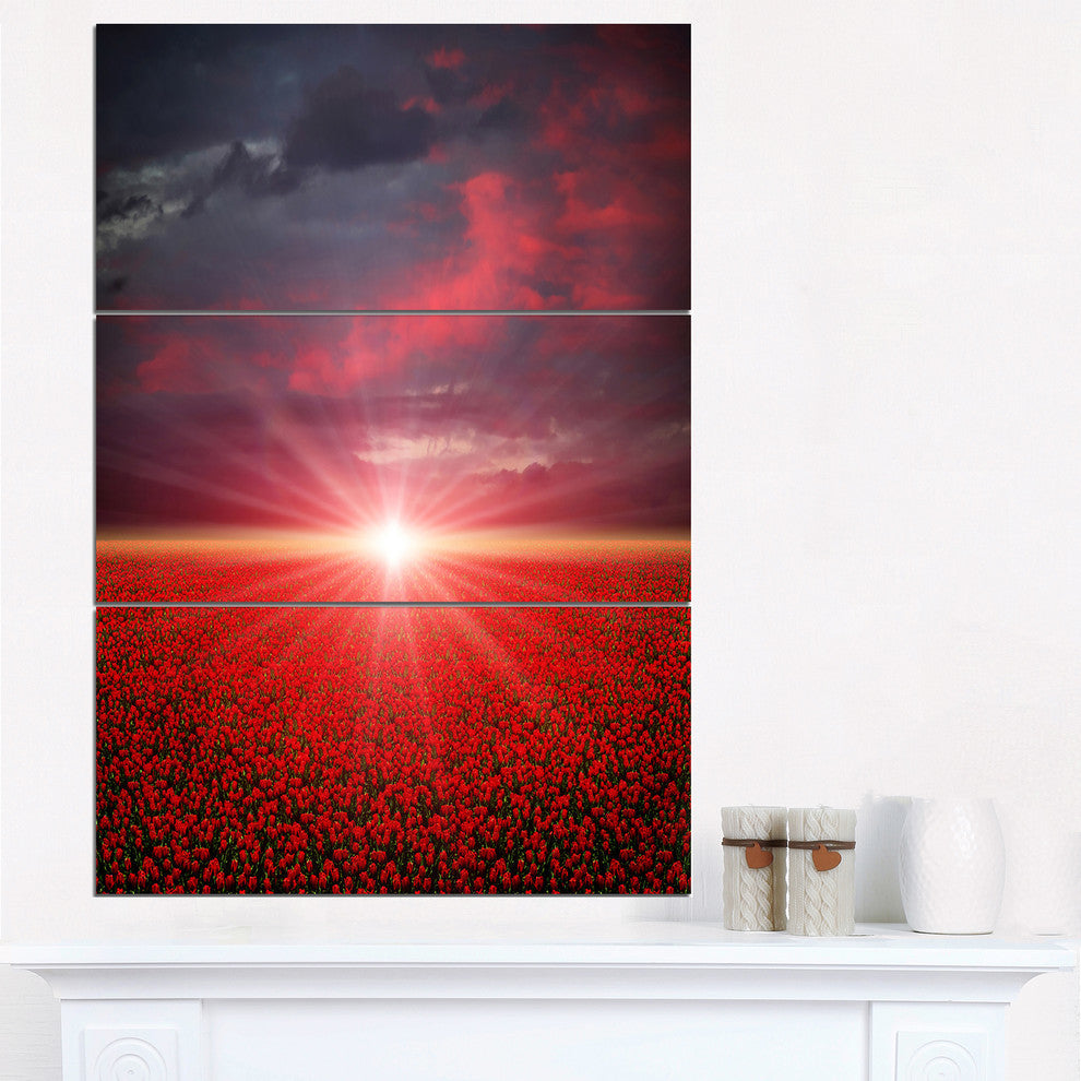 "Red Poppies Field at Sunset" Metal Wall Art, 3 Panels, 28"x36"