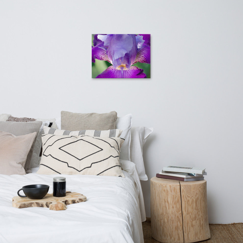 Glowing Iris Floral Nature Photography Canvas Wall Art Print, 18" X 24"