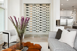 Vino Pins 1 Wall Mounted Wine Rack Peg, Clear Acrylic, Drywall Mounting