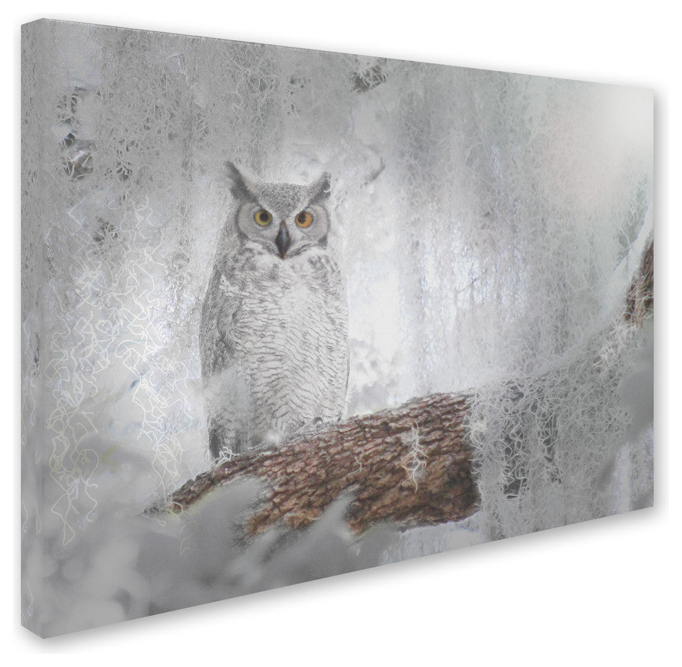 Patty Tuggle 'Owl Dreams' Canvas Art, 24"x18"