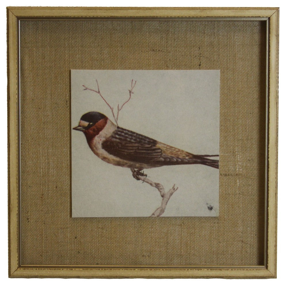Single Red And Black Headed Bird On Burlap