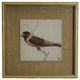 Single Red And Black Headed Bird On Burlap