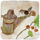 Carolina Wren Coaster - 3 Sets of 4 (12 Total)