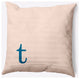20" x 20" Modern Monogram Indoor/Outdoor Polyester Throw Pillow, Autumn Blue