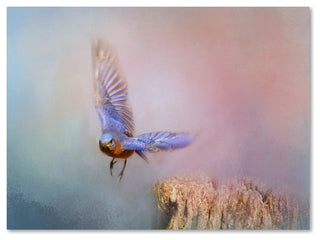 Jai Johnson 'Bluebird Escape' Canvas Art, 24 x 18