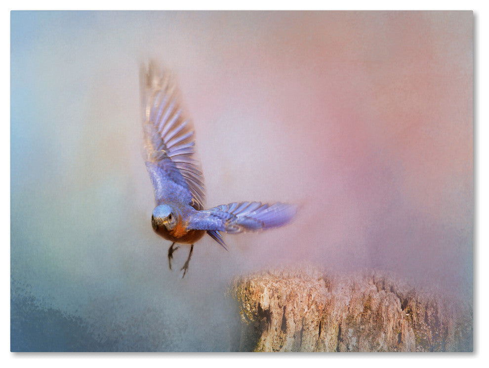 Jai Johnson 'Bluebird Escape' Canvas Art, 24 x 18