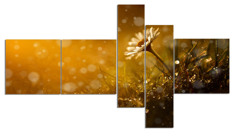 Forest After Rain during Sunset, Floral Canvas Print, 60"x32", 5 panels