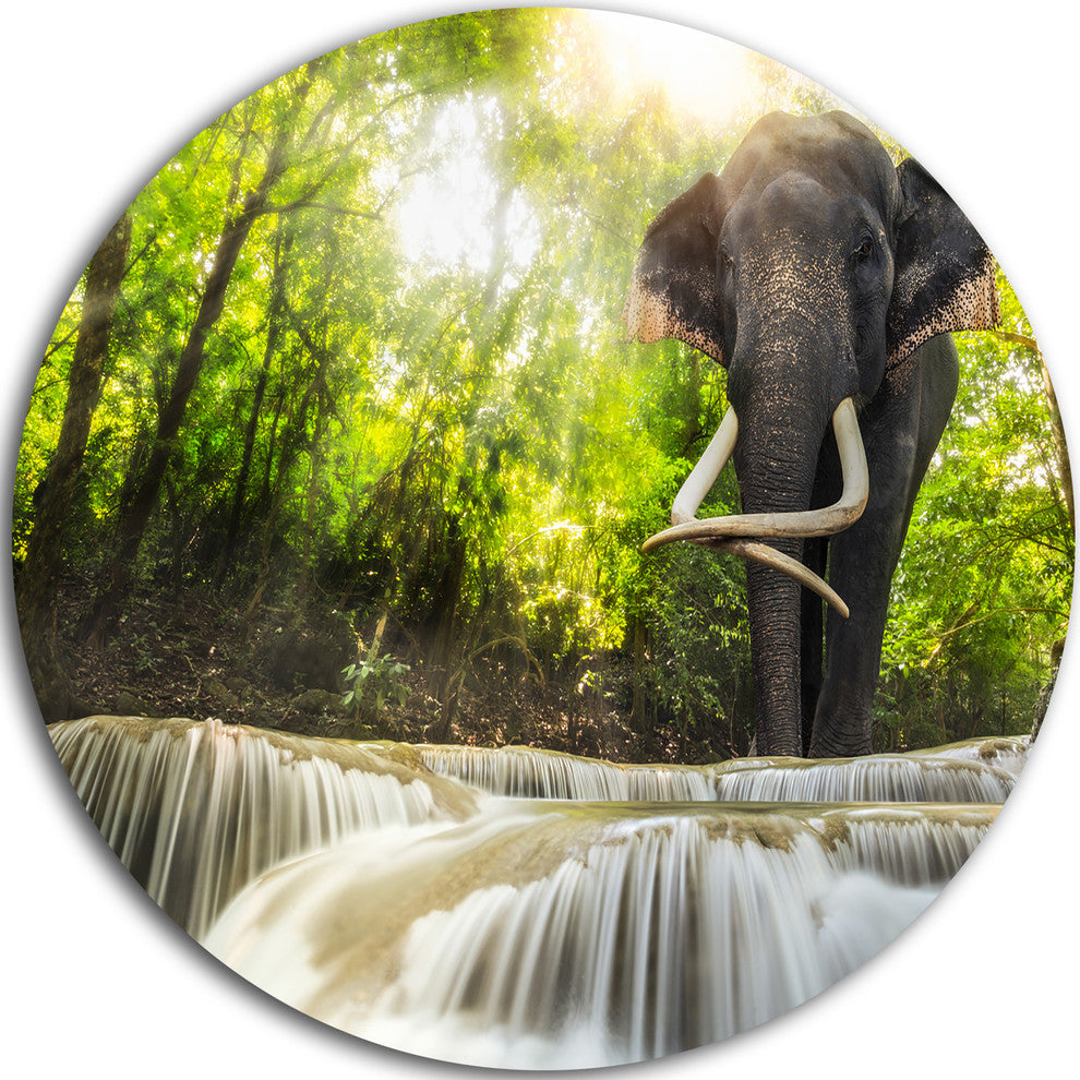 Erawan Waterfall With Elephant, Photography Round Wall Art, 11"