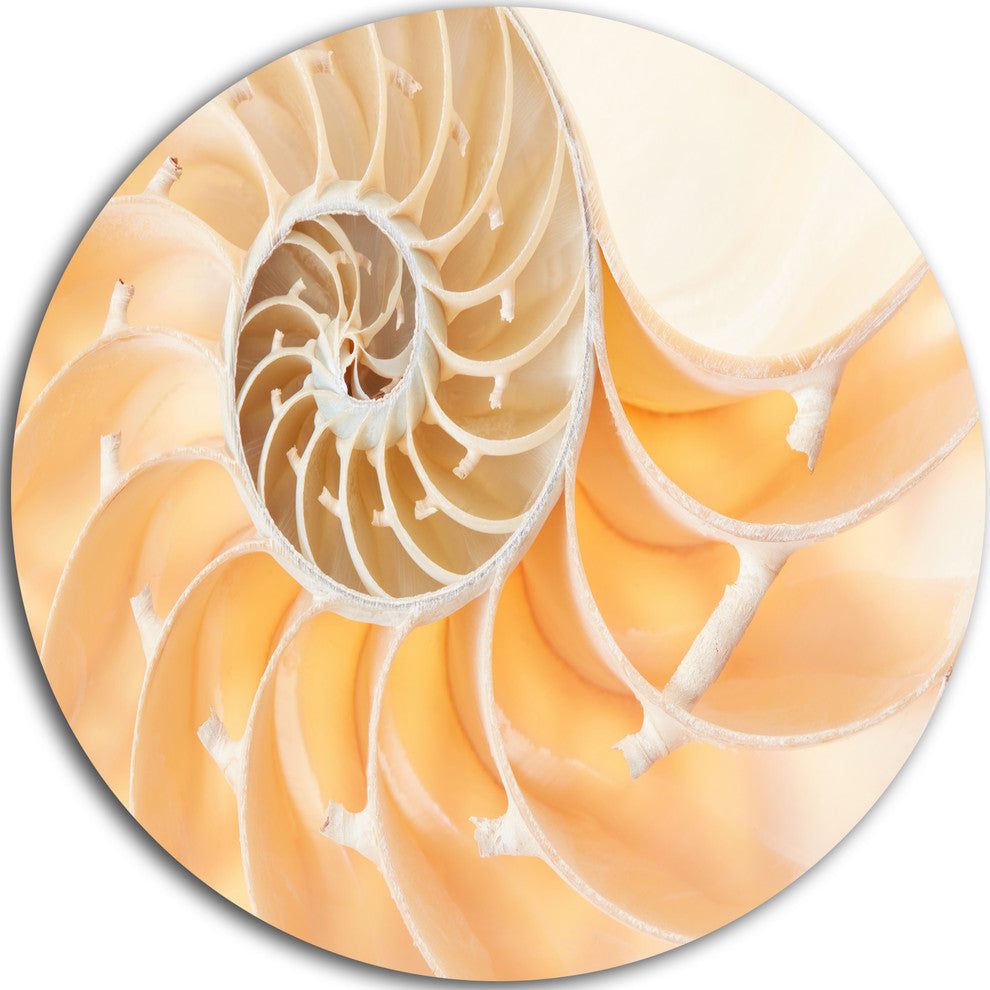 Light Brown Nautilus Shell, Abstract Art Disc Metal Wall Art, 23"