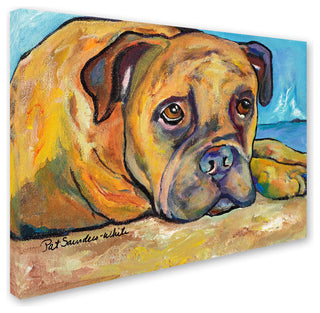 'Lexie' Canvas Art by Pat Saunders-White
