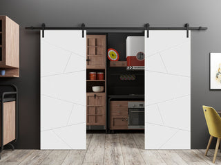 Double Barn Door 56 x 84 | Planum 0990 Painted White | 13FT