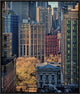 "City Life" Framed Canvas Giclee by Liyun Yu, 19x23"