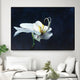 "Phalaenopsis blanc" Oversized Framed Canvas, 40" x 60"